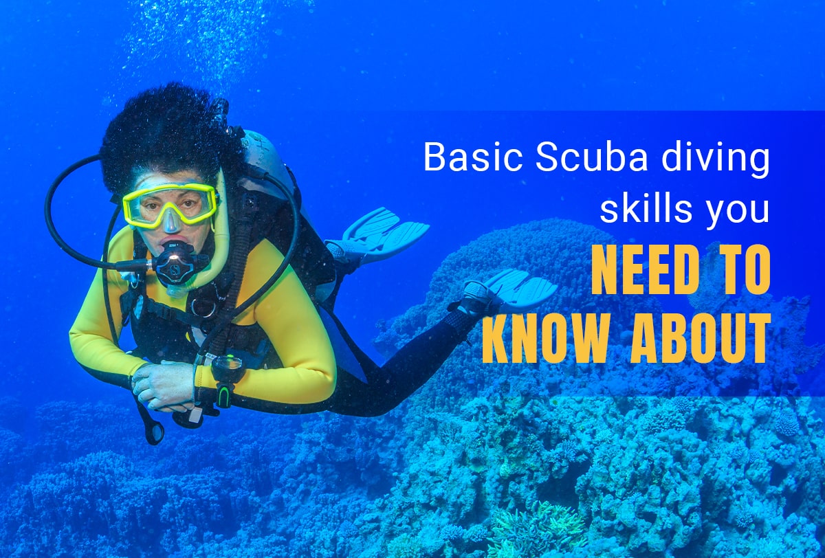 Basic Scuba Diving Skills you need to know About