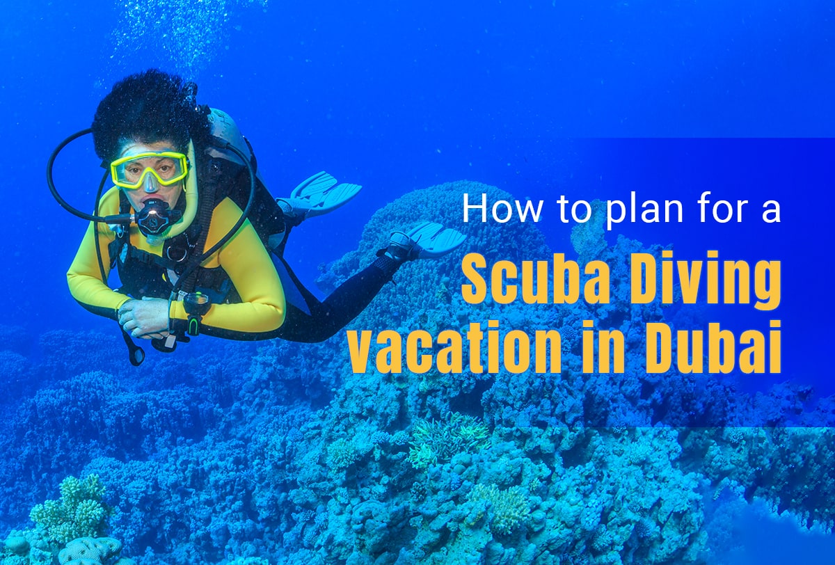 Scuba Diving Vacation in Dubai: How to Plan