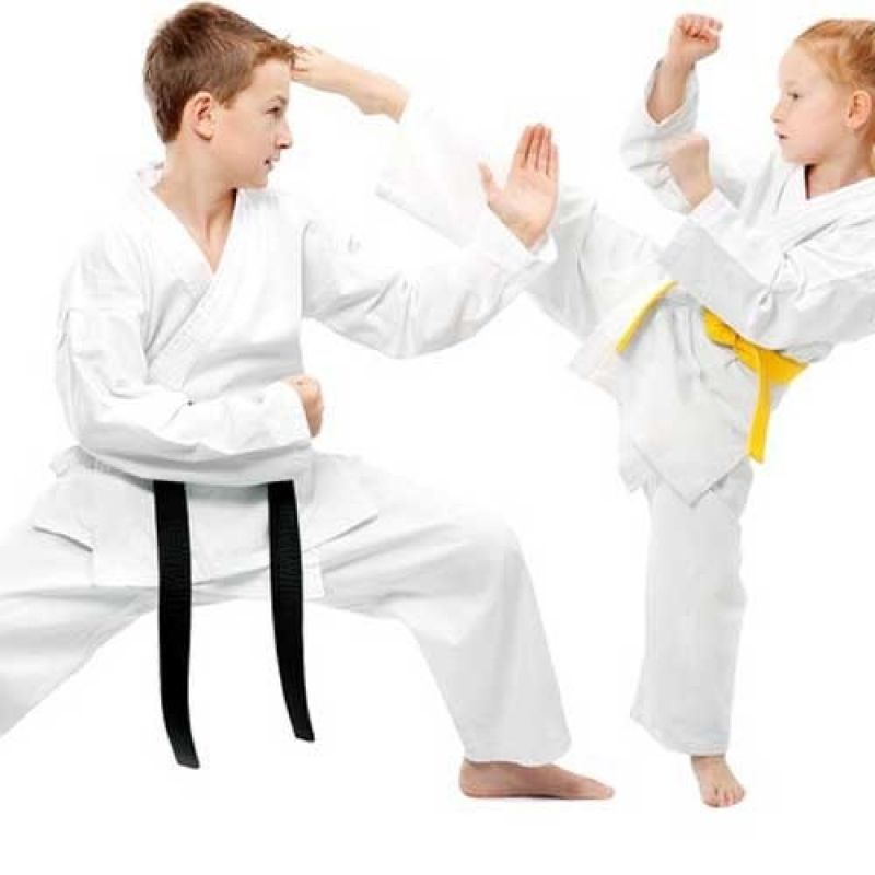 KARATE CLASS - AGES 9 To 13 YEARS (STUDIO CITY)
